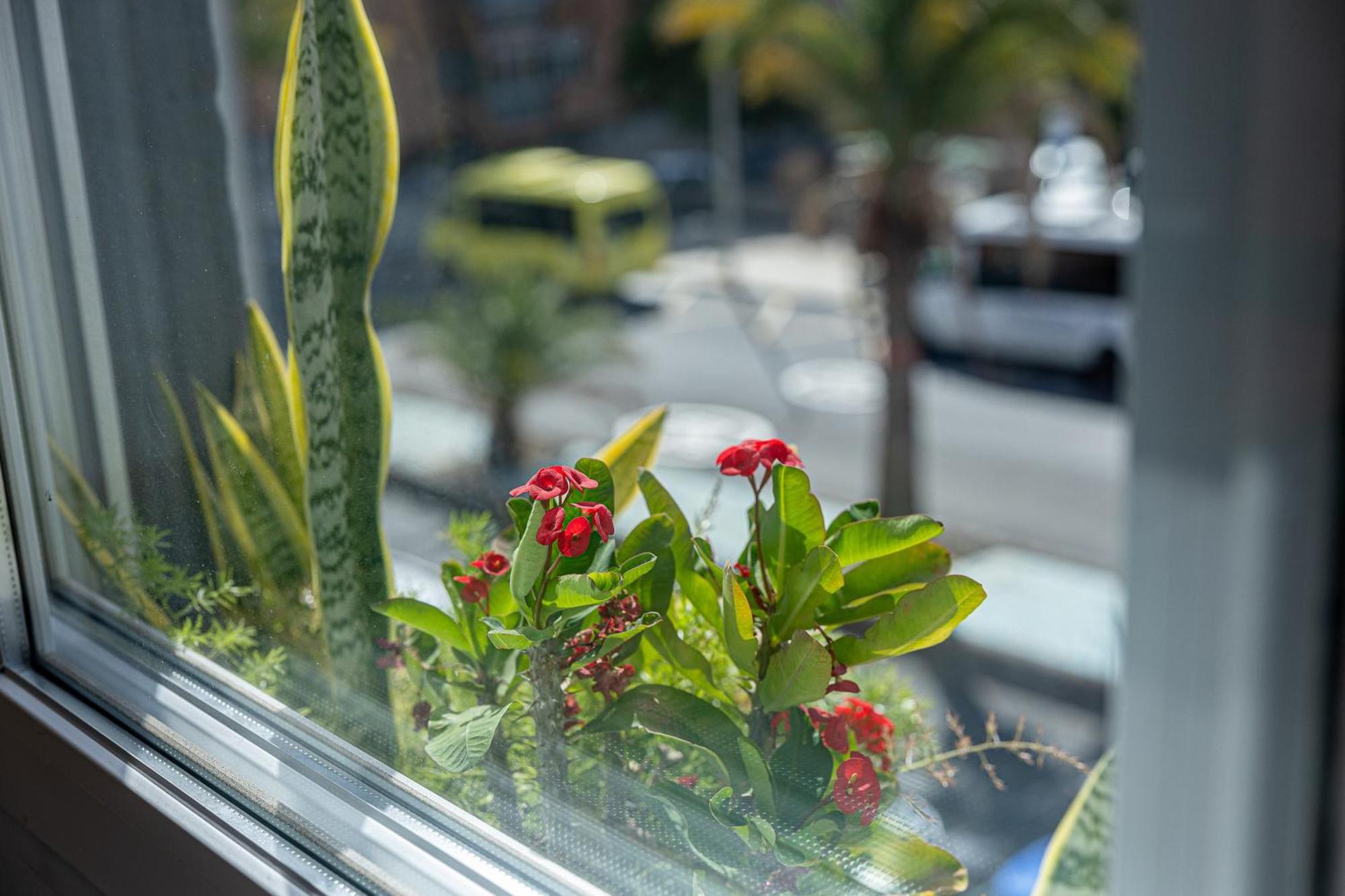 Bambu Suites Vegueta Alquiler Por Habitacion Las Palmas de Gran Canaria Eksteriør bilde