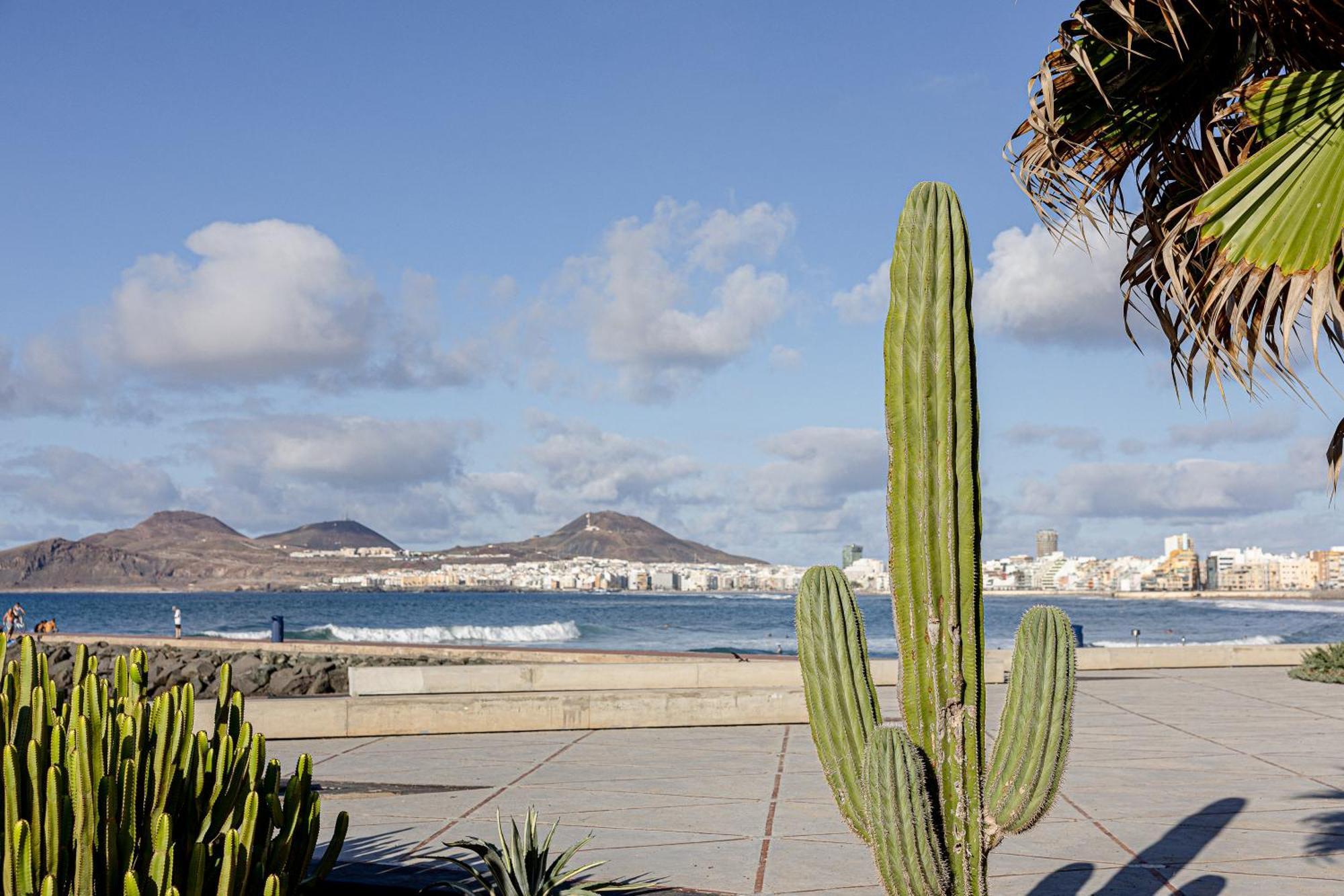 Bambu Suites Vegueta Alquiler Por Habitacion Las Palmas de Gran Canaria Eksteriør bilde