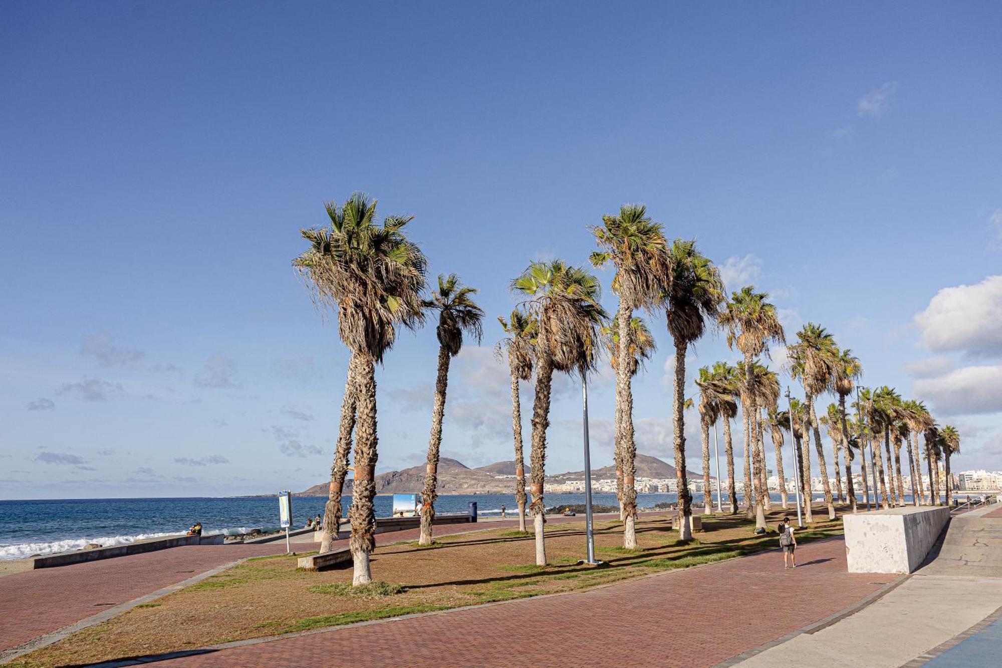 Bambu Suites Vegueta Alquiler Por Habitacion Las Palmas de Gran Canaria Eksteriør bilde